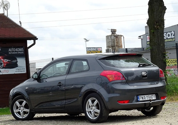 Kia Ceed cena 14500 przebieg: 262000, rok produkcji 2008 z Wągrowiec małe 56